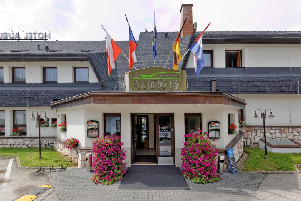 Hotel Aurum Černý Důl Exterior foto