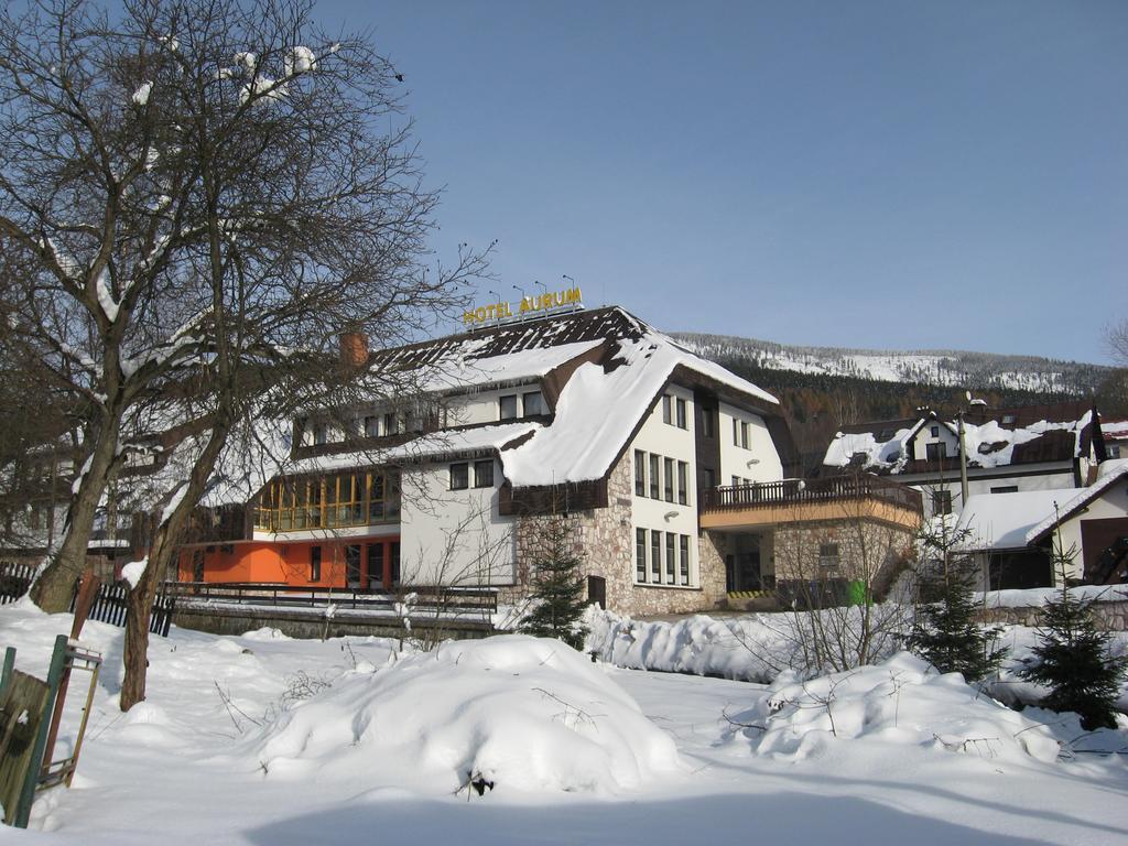 Hotel Aurum Černý Důl Exterior foto